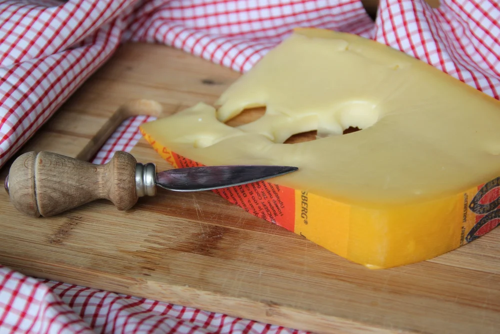 Jarlsberg cheese